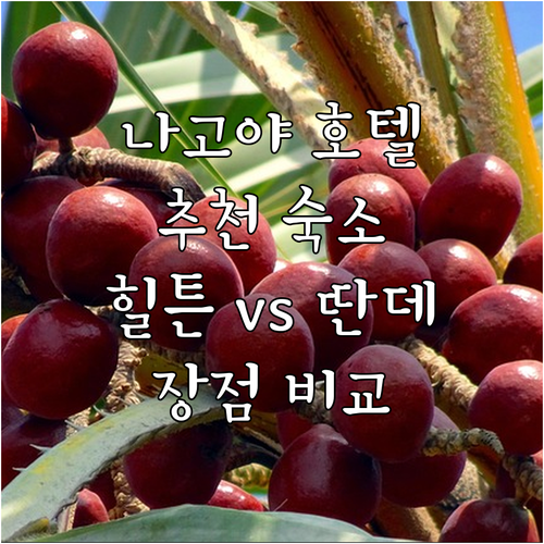 나고야 인기 호텔 추천.. 힐튼, 잘..