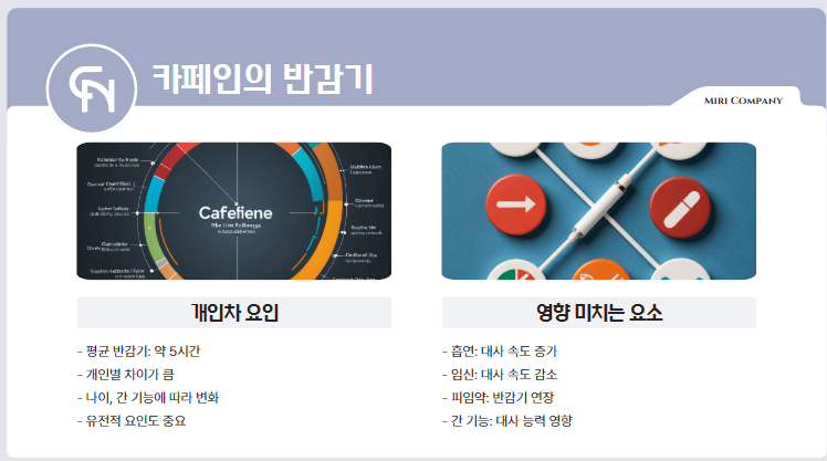 카페인의 반감기