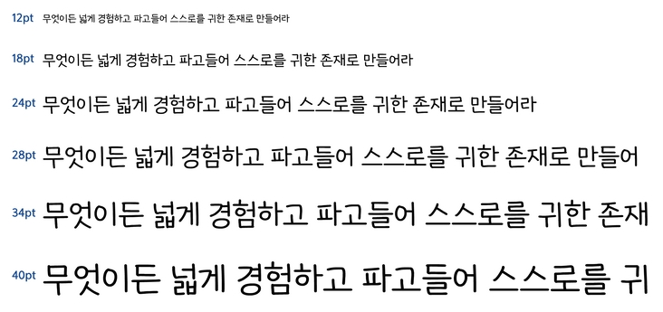 세종글꽃체, 다양한 크기와 두께