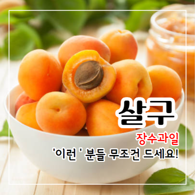 살구 효능과 부작용 및 먹는법 살구 보관법