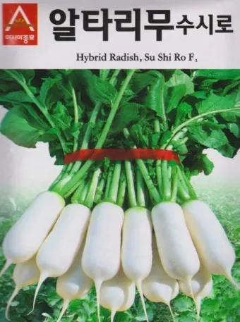 알타리무 파종시기 핵심 포인트_26