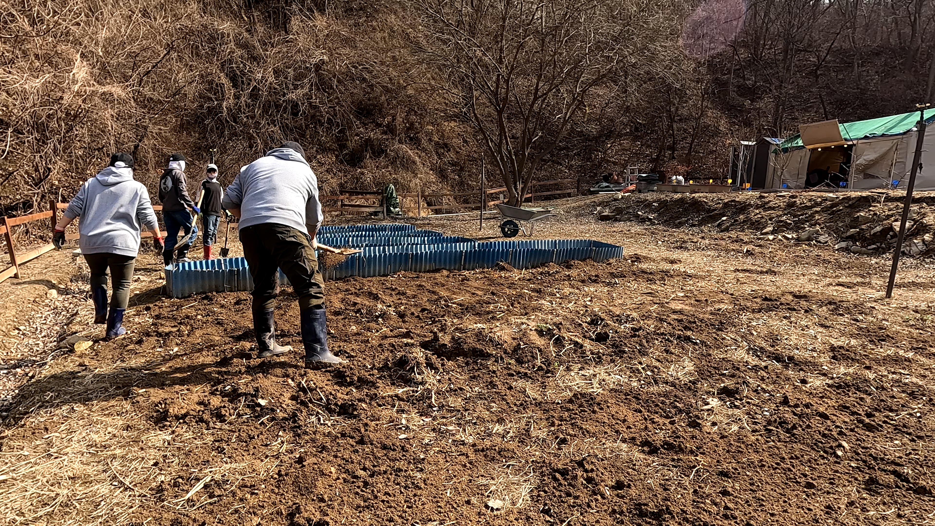 여러 사람이 함께 주말농장의 흙을 뒤집고 고르며 겨울 흔적을 정리하고 새 작물을 심을 준비를 하는 장면