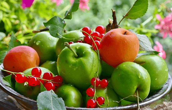 넓은 은색 쟁반에 청사과 10개와 빨간 열매들이 가득 담겨있다.