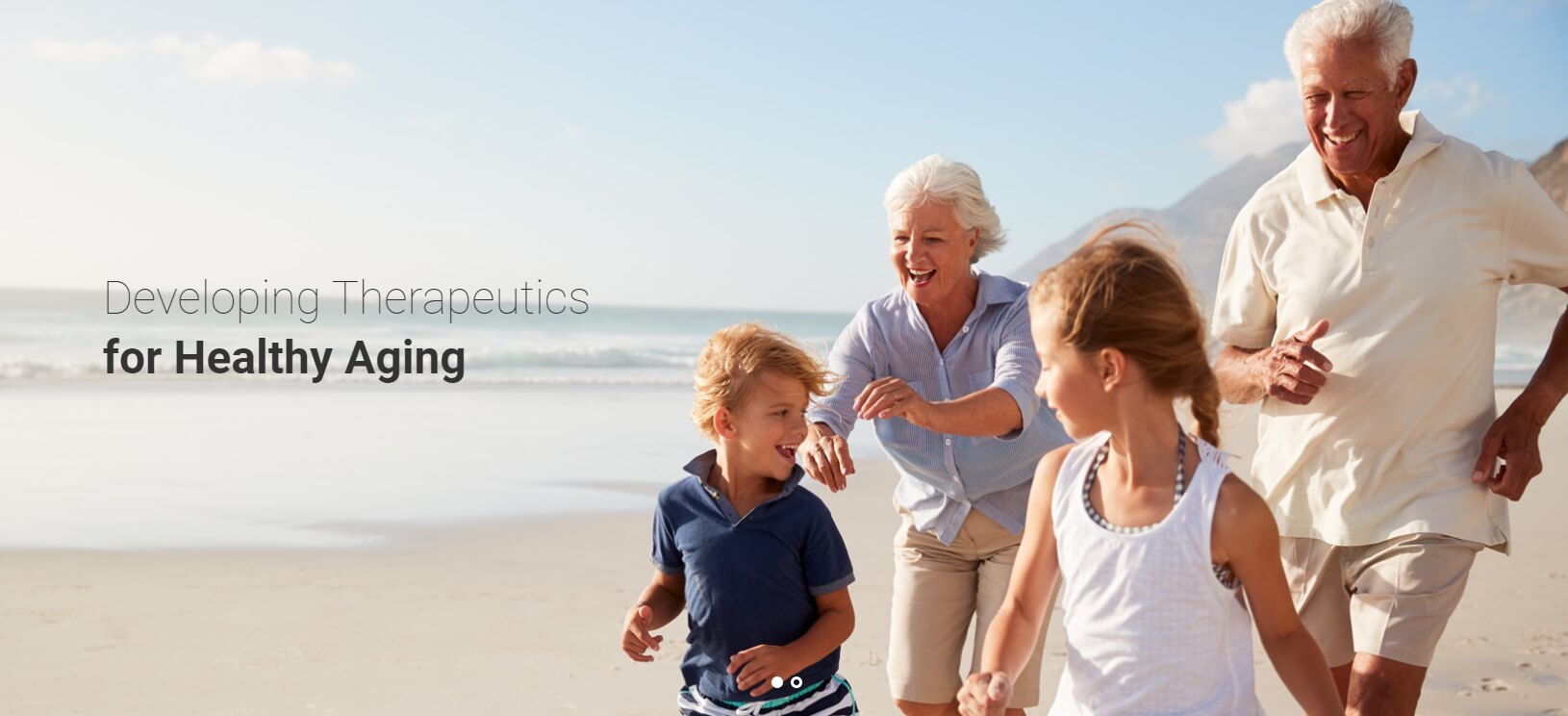 4월 공모주 디앤디파마텍 알아보기