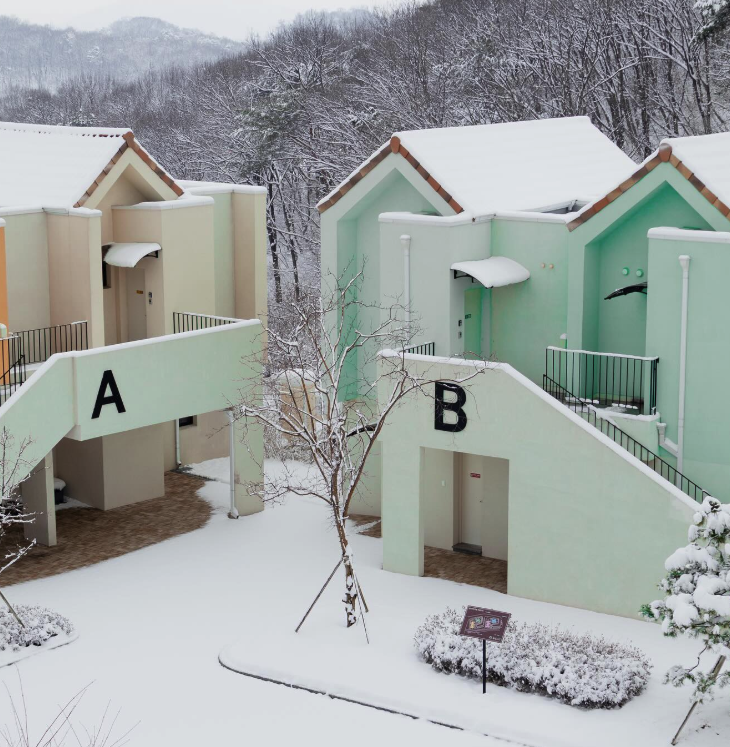 용인 자작나무숲 봄꽃 축제
