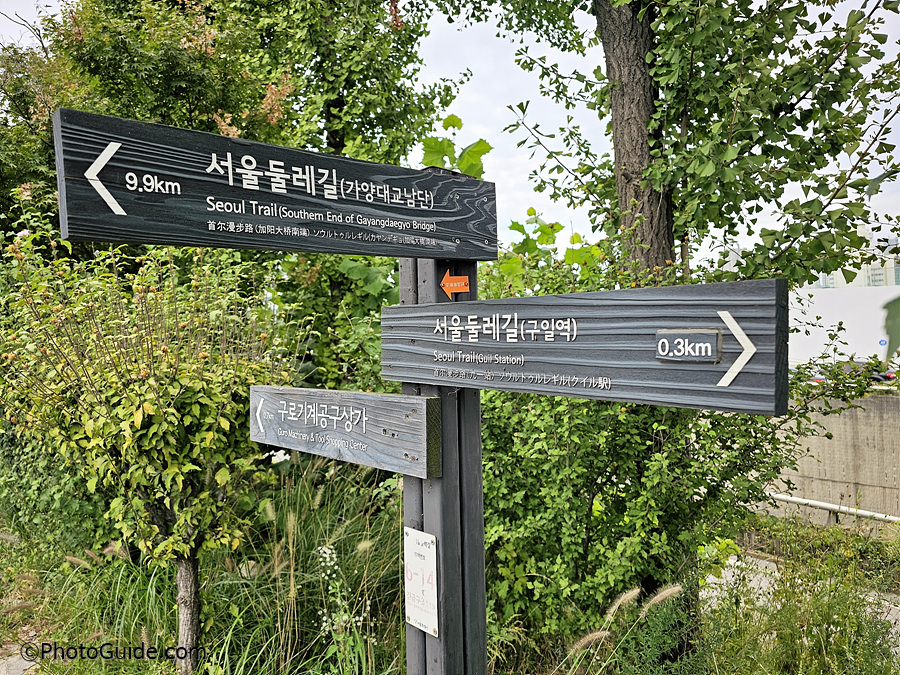 안양천-코스모스