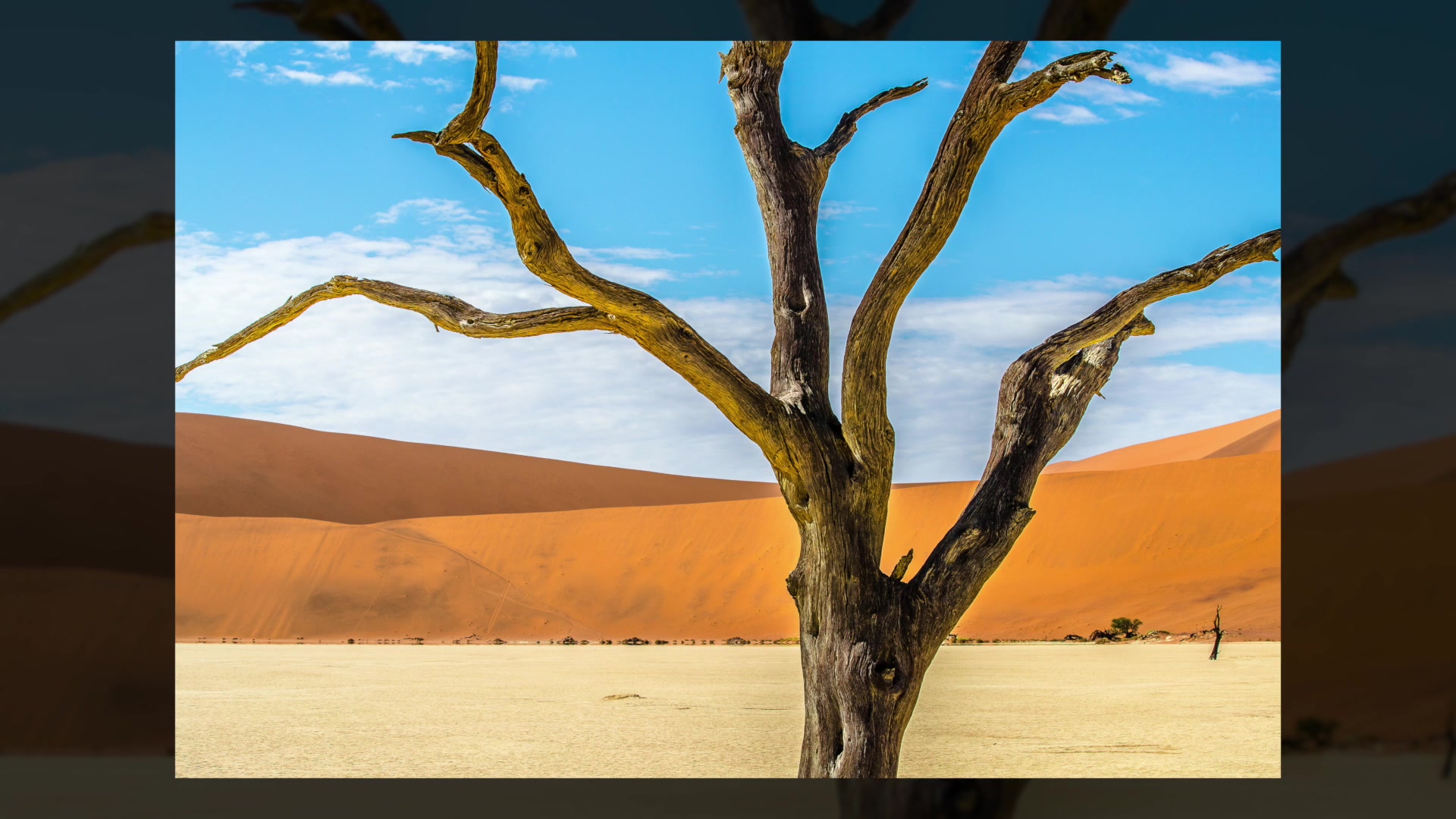 나미비아(Namibia)의 데드블라이(Deadvlei)