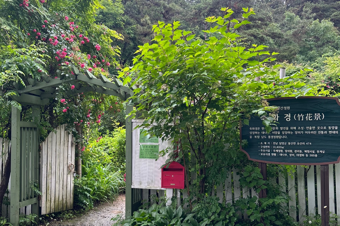 담양죽화경수국명소