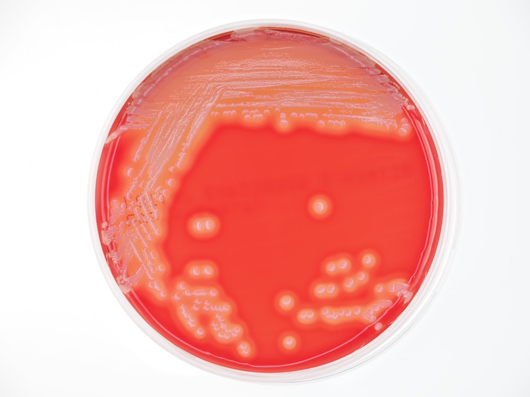 Lactobacillus