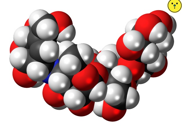 당뇨에 좋은 단백질