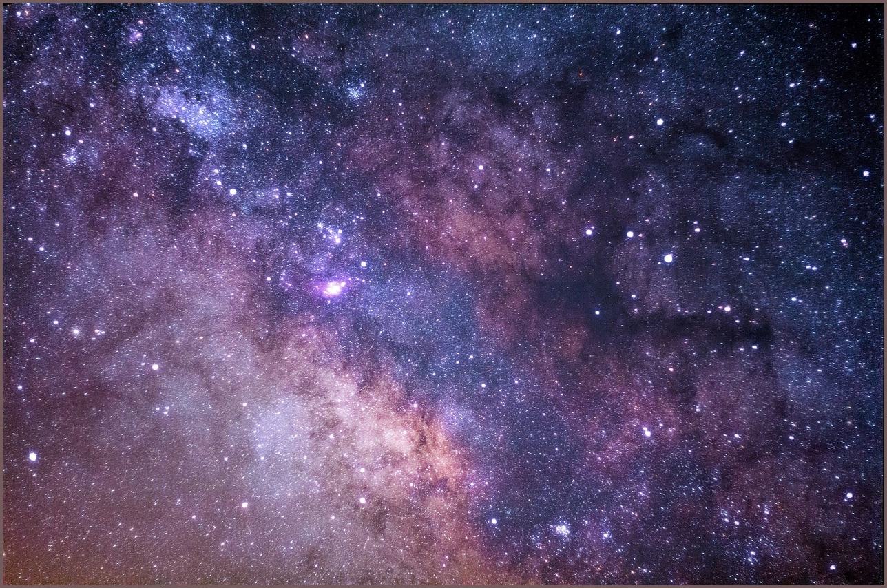 스타리아 하이브리드 가격