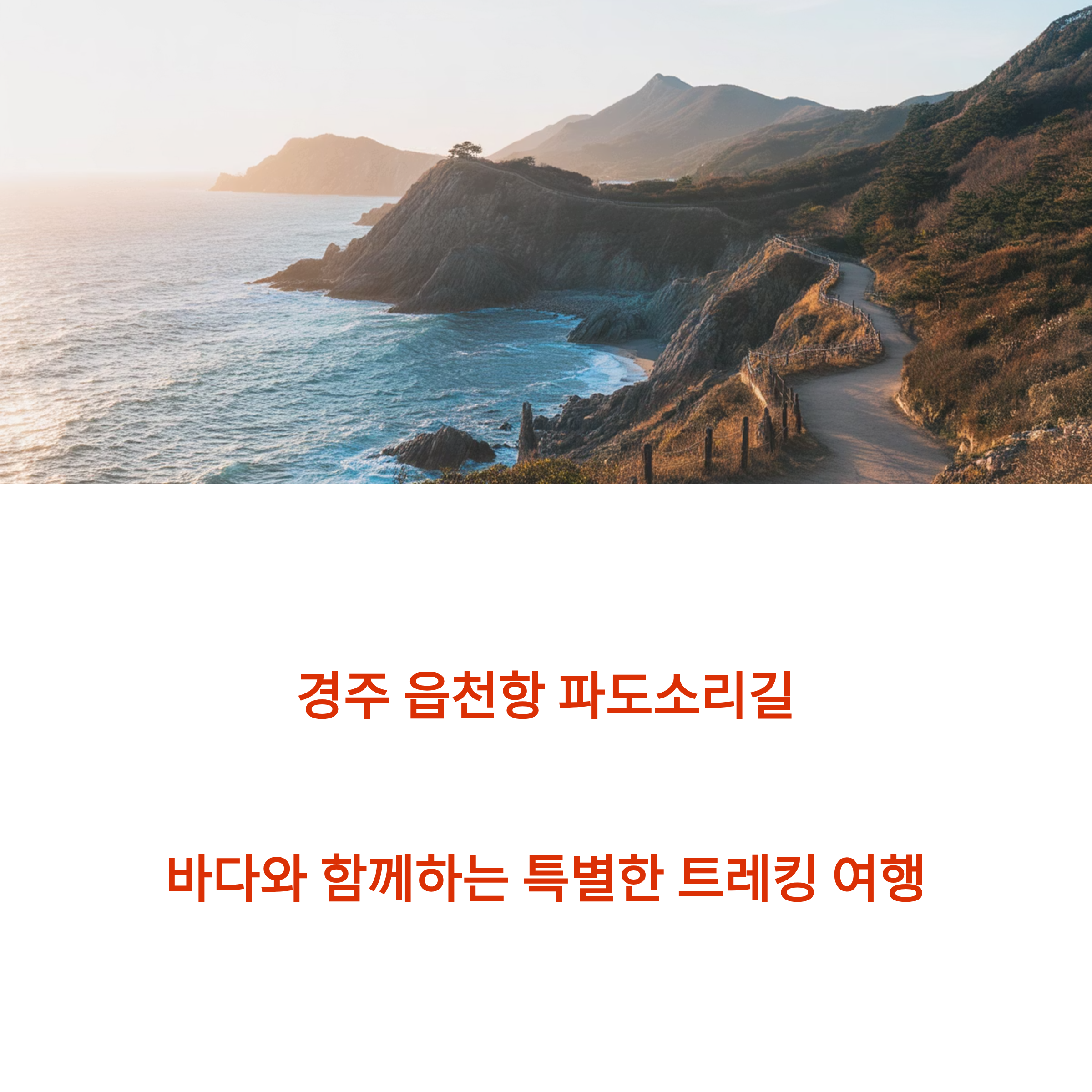 경주 읍천항 파도소리길 트레킹