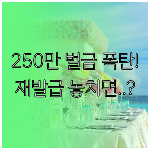 분실 훼손 번호판 재발급 지연 시 최..