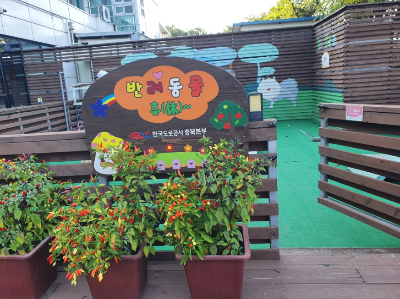 애견동반 휴게소