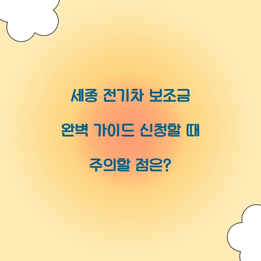 세종 전기차 보조금