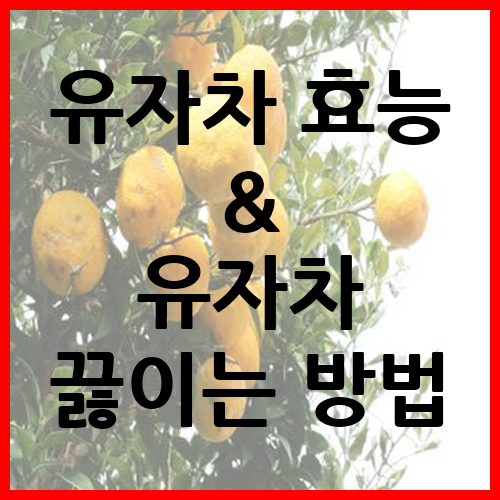 유자차-효능-7가지-끓이는-방법