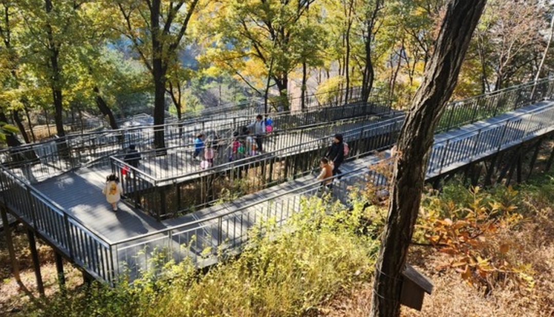 무장애길 전망대 갖춘 남산 하늘숲길 개방