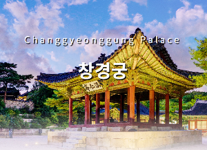 고궁야간투어