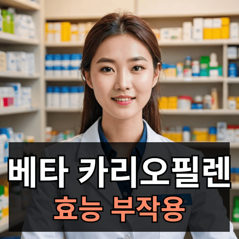 베타 카리오필렌 효능 풍부한 음식 부작용 주의사항 총정리