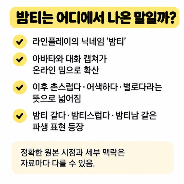 라인플레이 닉네임에서 SNS 밈으로 확산된 밤티 유래를 정리한 이미지