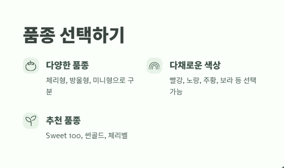 방울토마토 키우기 완벽 정리 2