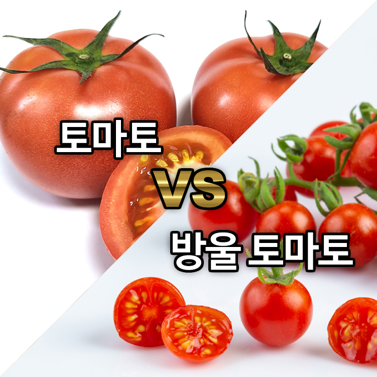 토마토 VS 방울 토마토, 영양가 더 높은것?