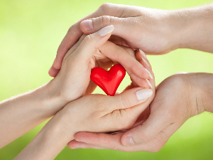 사랑을 전하는 사진