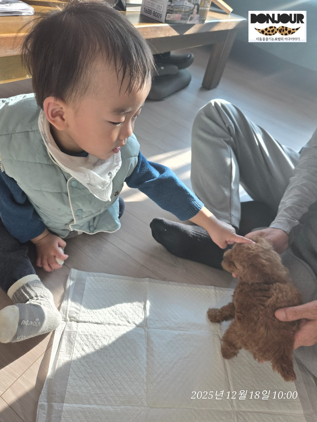 18개월 아기 손가락 가리키기 사회적 상호작용 자폐 구별