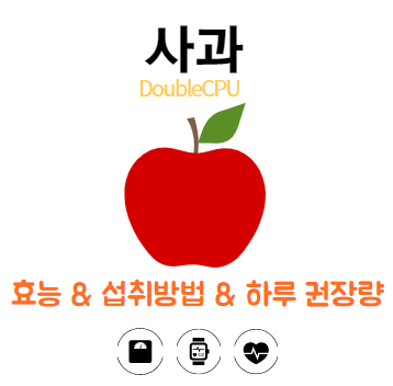 사과에 대해 알아보자