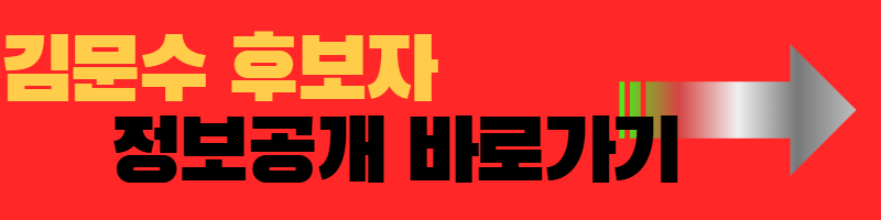 기호2번 김문수