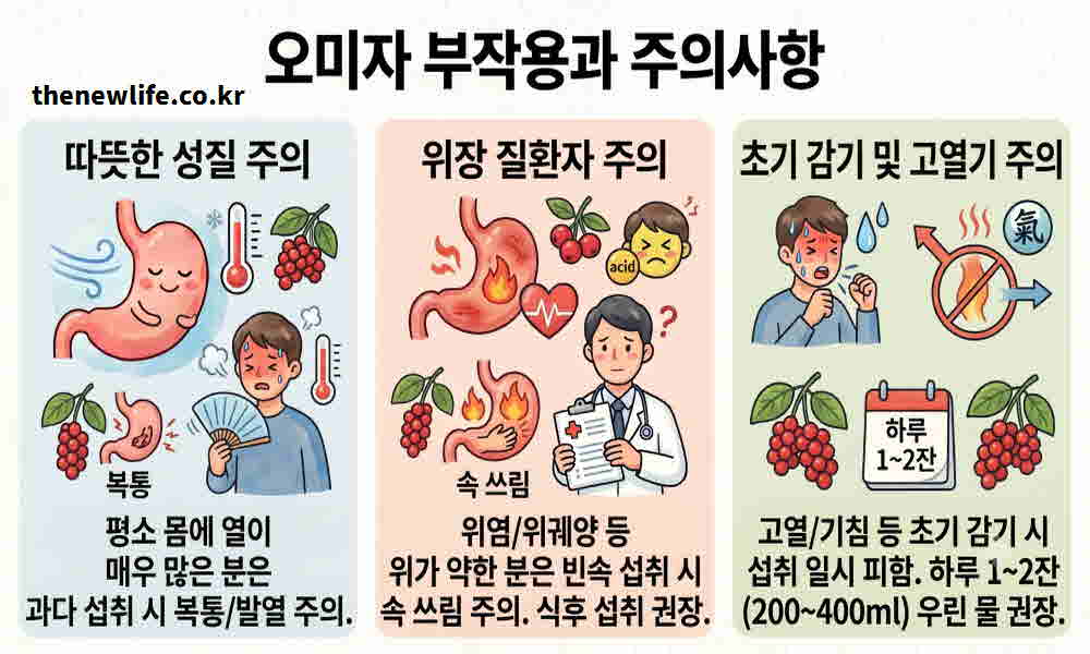 오미자 효능 부작용