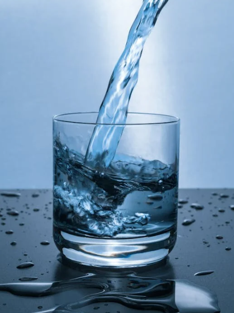 대장에 좋은 음식