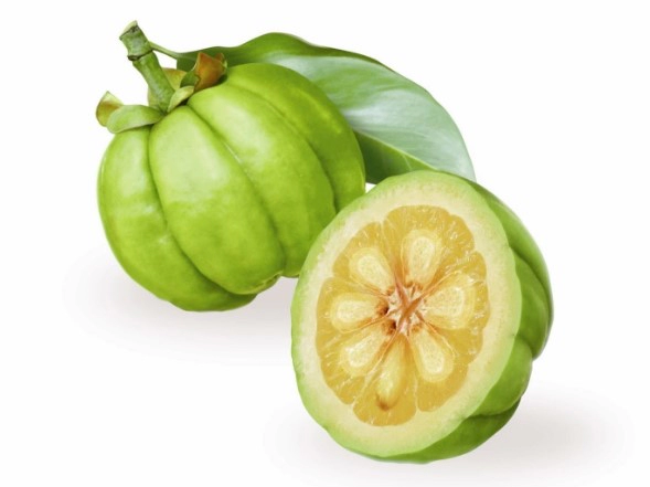 가르시니아 hca 효과 4가지