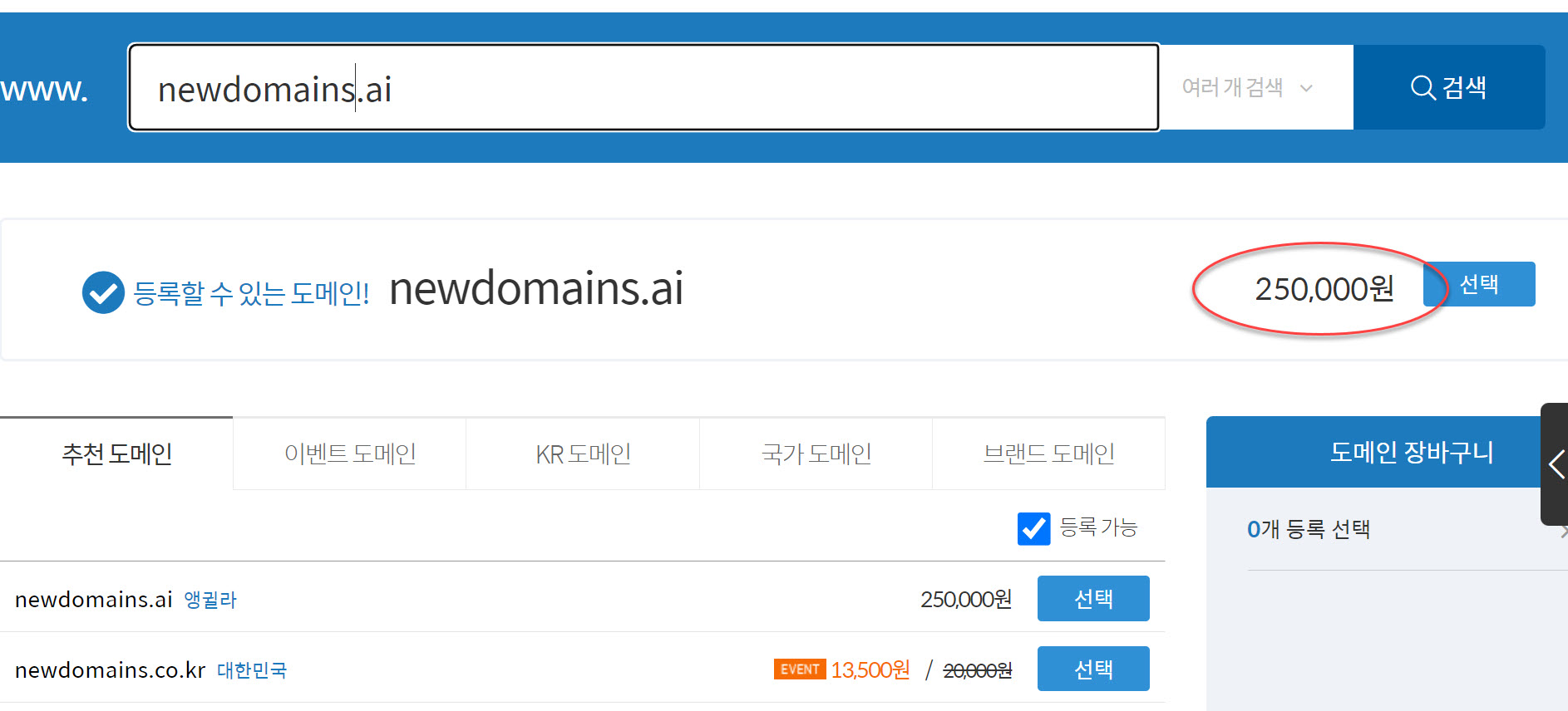 비싼 AI 도메인
