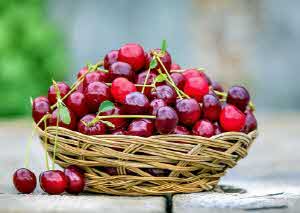 변비에 좋은 음식 변비해결방법 실제후기 (쾌변 효과)