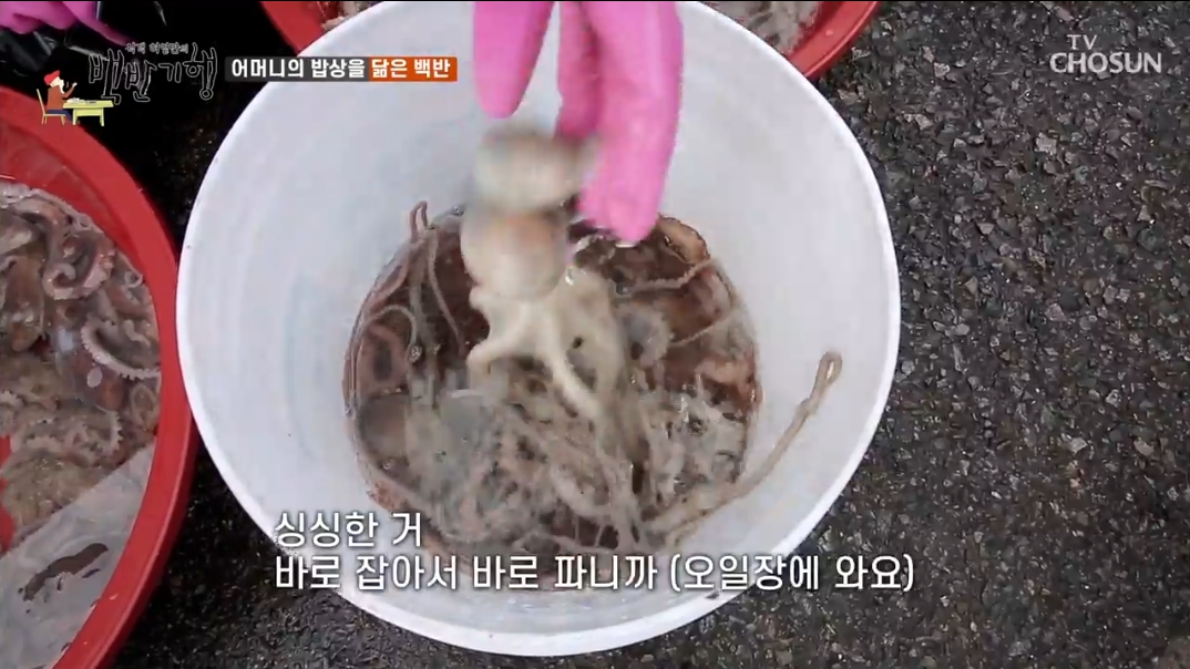 장보는-사장님-2