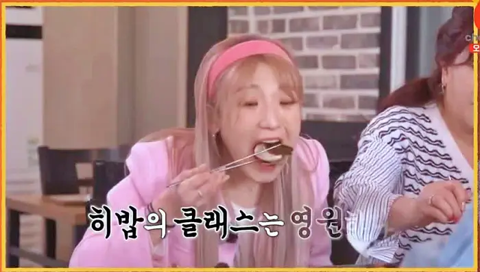 제20회 토요일은 밥이좋아 토밥즈 키조개회덮밥, 해물라면, 가리비 문어 차돌박이 키조개 해물삼합 맛집 보령 현지인 맛집