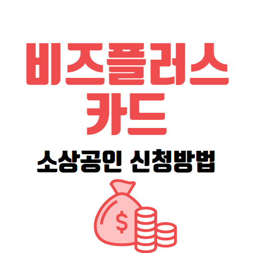 소상공인비즈플러스카드