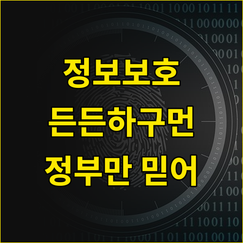 아따, 정부가 정보보호 꼼꼼히 챙긴다..