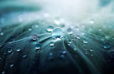 내 지역 장마기간 조회