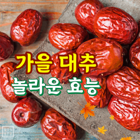 가을 대추 효능 이미지, 붉게 말린 대추 열매와 가을 건강 음식 사진