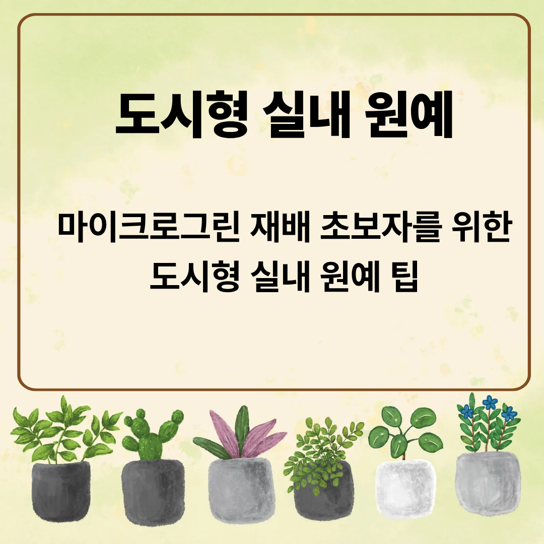 마이크로그린 재배 초보자를 위한 도시형 실내 원예 팁