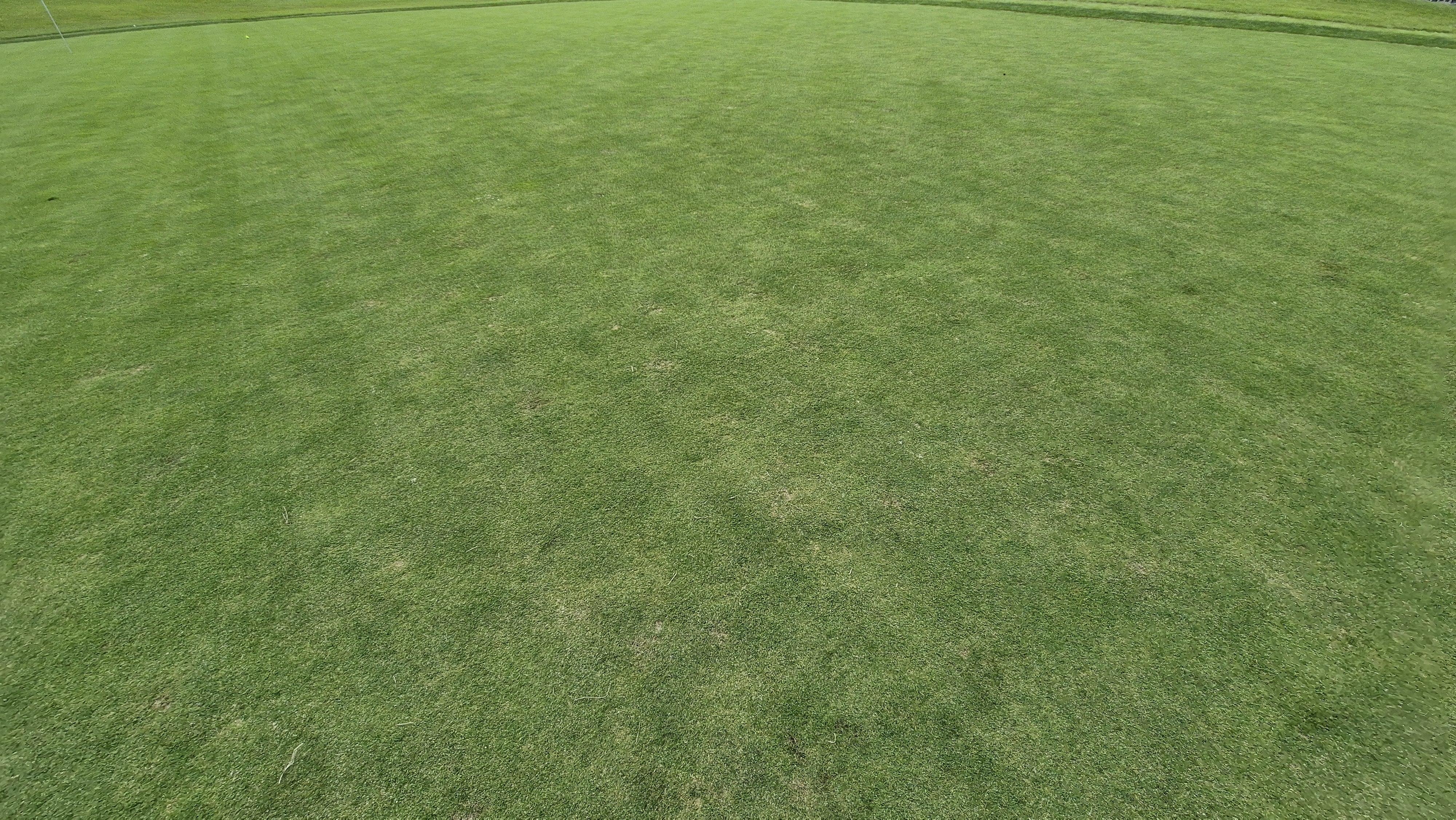 오크힐스cc 그린 관리 상태