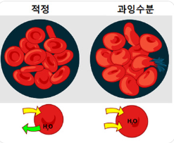수분과 RUNX3