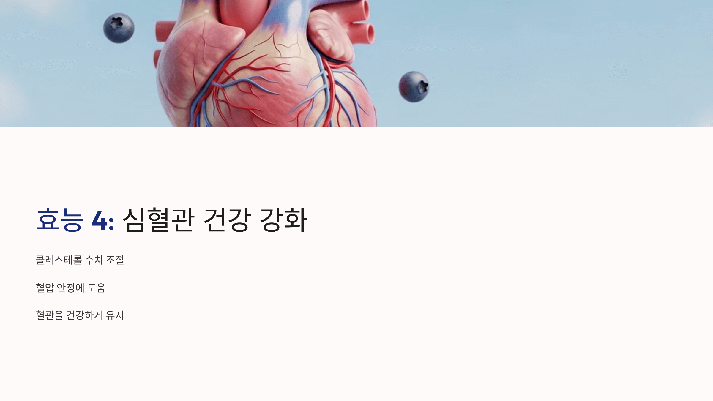 블루베리 사진입니다.