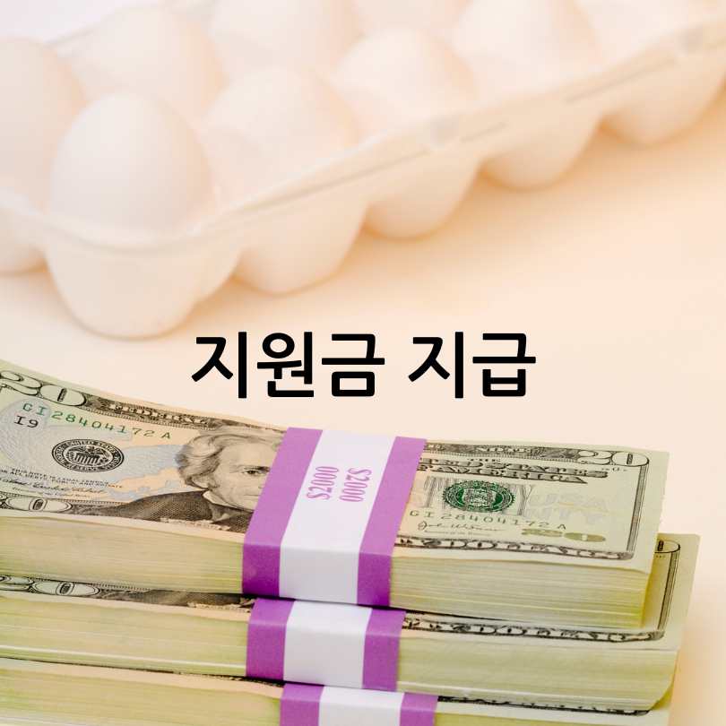 서울형 입원생활비 지원