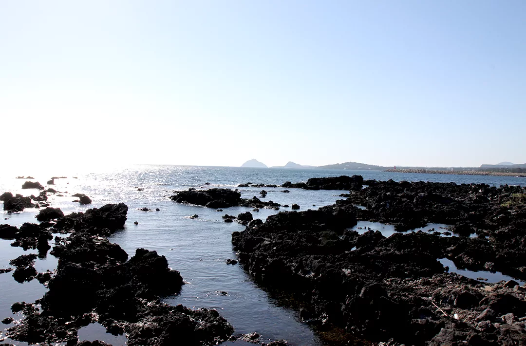 제주 올레길 5코스 남원 - 쇠소깍 올레 초보자를 위한 완벽 가이드