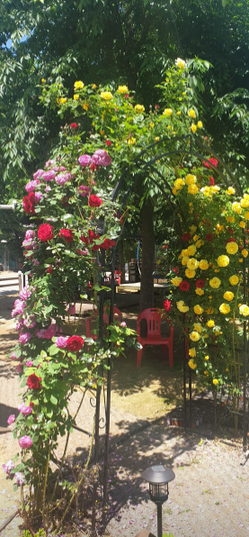 장금이 식당 정보