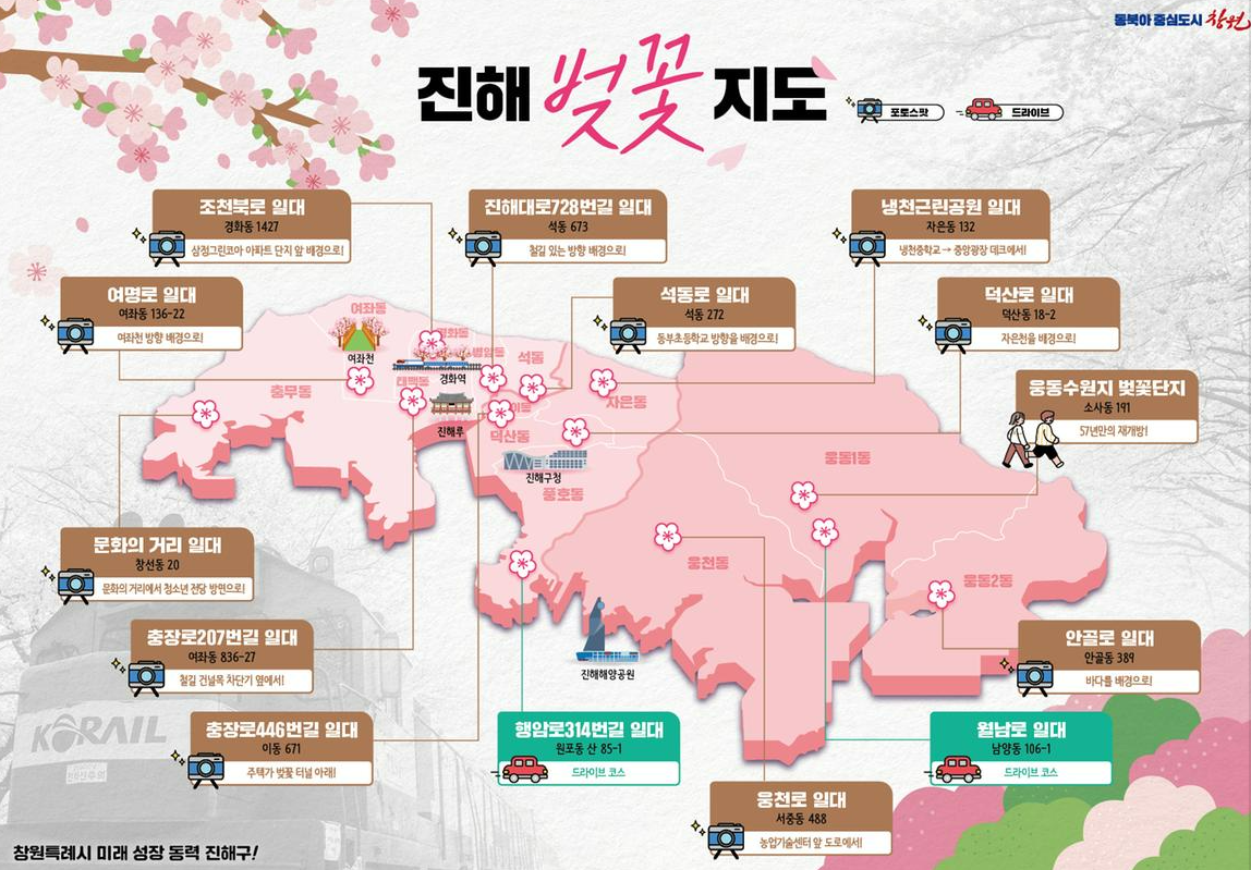2025 진해 군항제 일정, 주차, 맛집 총정리