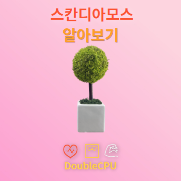 스칸디아모스 탐구